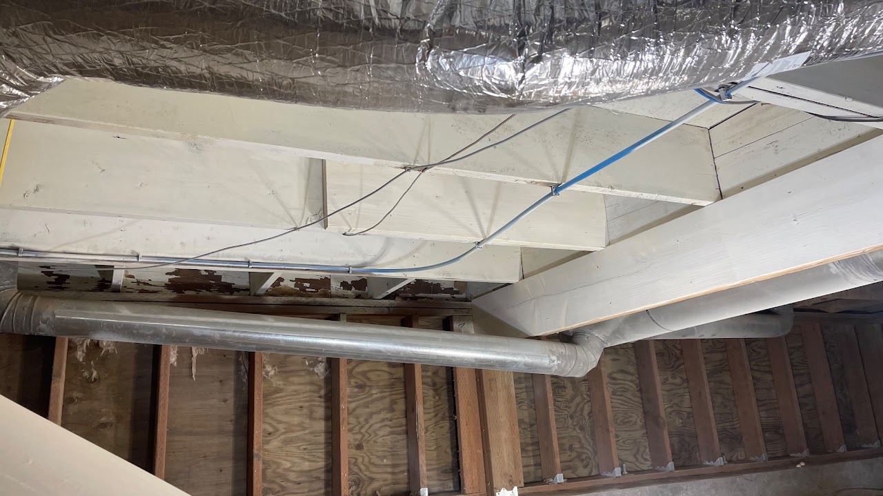 Mold growth that was painted over