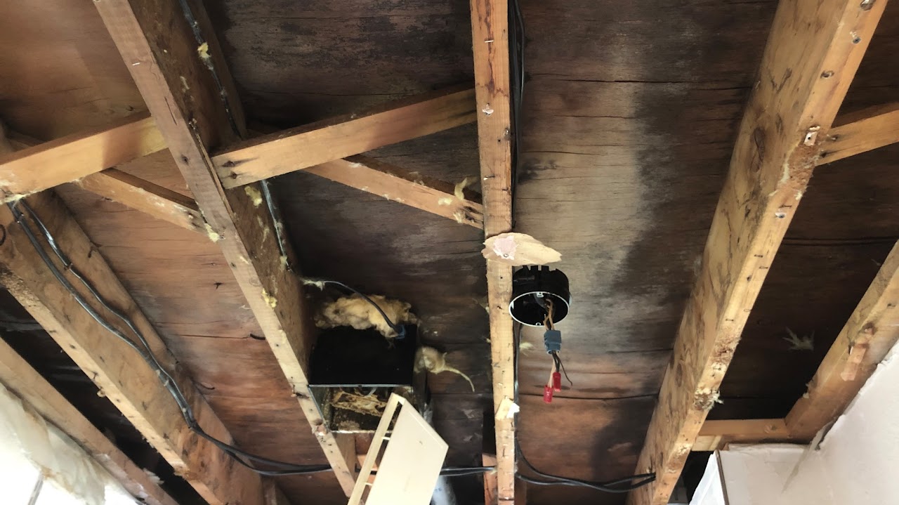 Ceiling in living space with mold growth